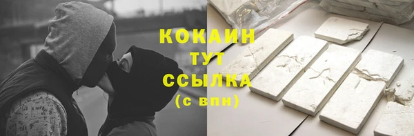 соль ск Алзамай