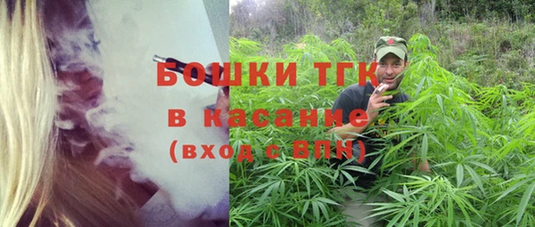 индика Абдулино