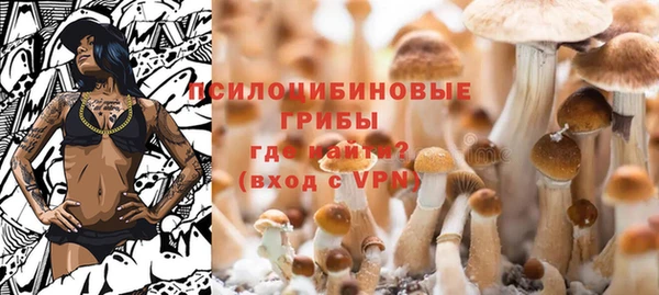 индика Абдулино
