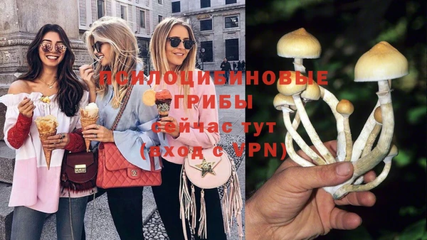 соль ск Алзамай