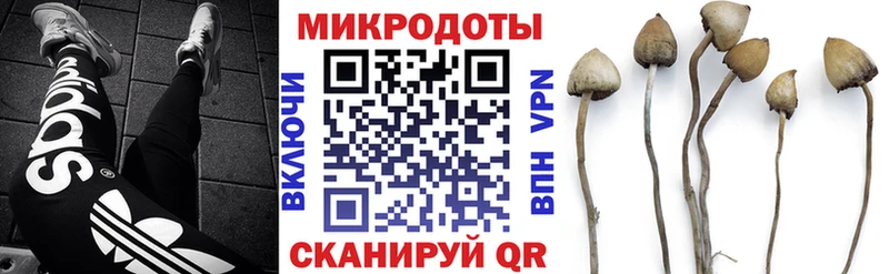 площадка официальный сайт  Правдинск  Галлюциногенные грибы мицелий  закладка 