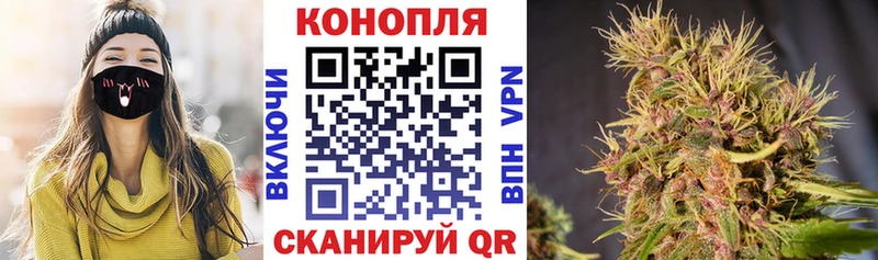 Канабис White Widow  мега маркетплейс  Правдинск 
